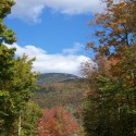 A view of trees and mountains from the side of a road.